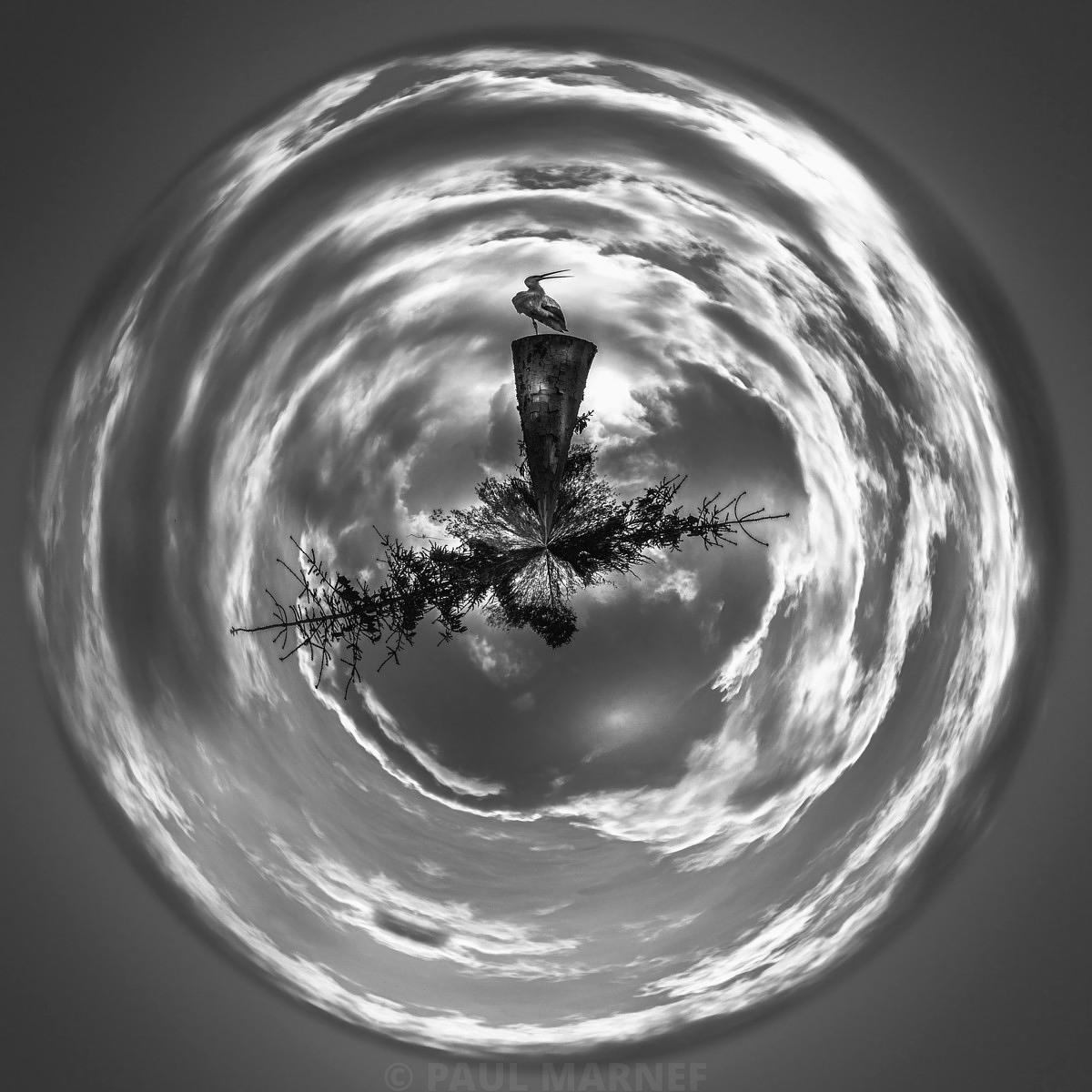 A rabbit perched on a tree trunk in the centre of a black-and-white, swirl-shaped sky.