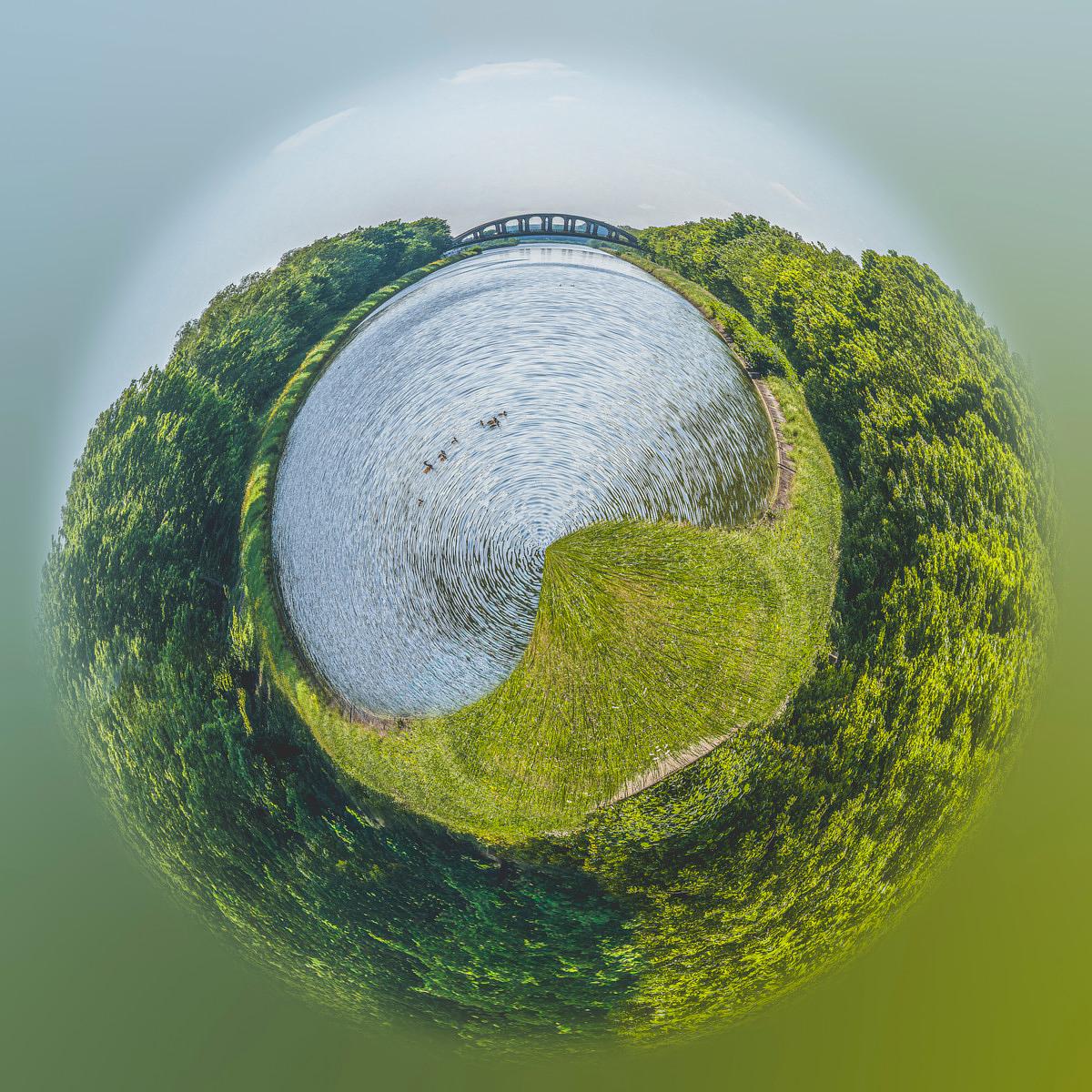 Vue panoramique en 360 degrés d'un plan d'eau ponctué de canards, entouré de verdure dense et traversé par un pont.