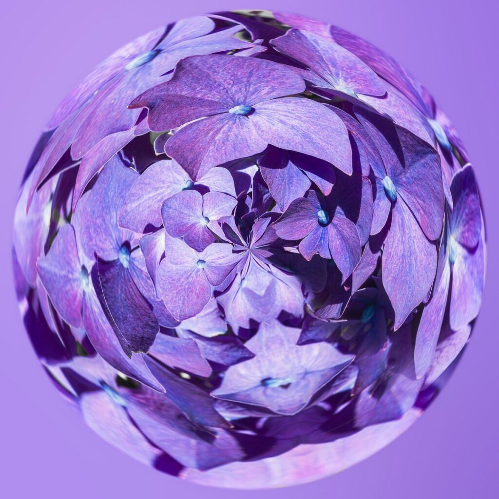 Sphère reflétant un bouquet de fleurs violettes et mauves sur un fond uni lavande.