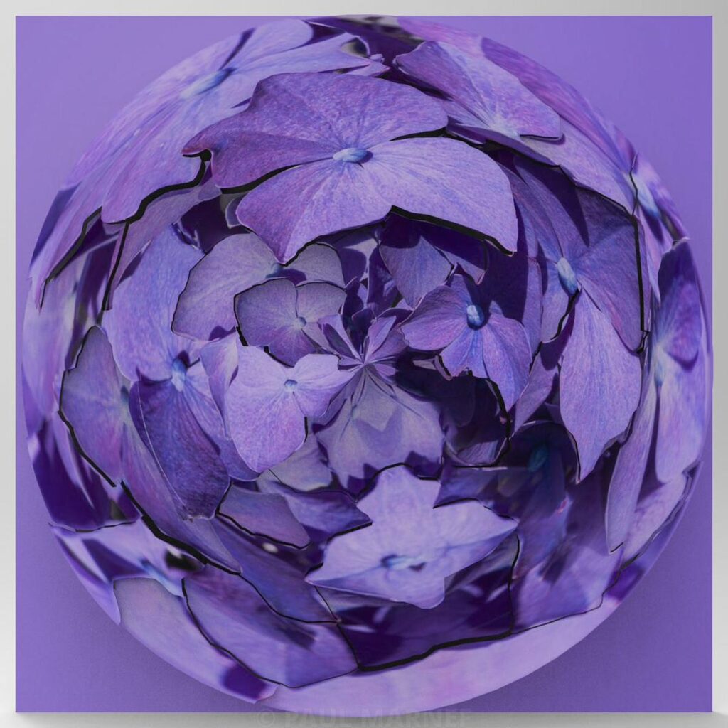 A shimmering sphere made up of purple and lilac hydrangea flowers against a lilac background.