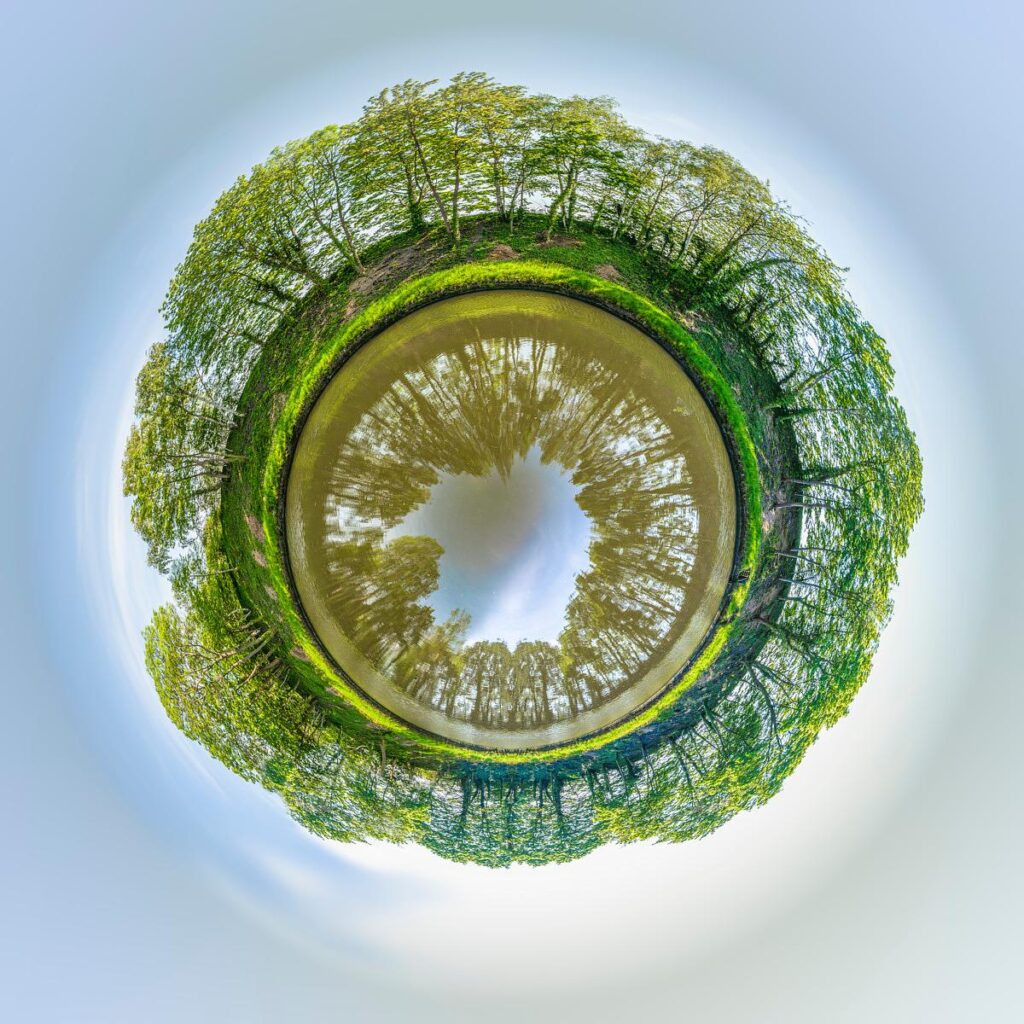 A spherical view showing elm trees providing shelter, lining a beige-coloured pond, whose green reflection is inverted against a luminous background.