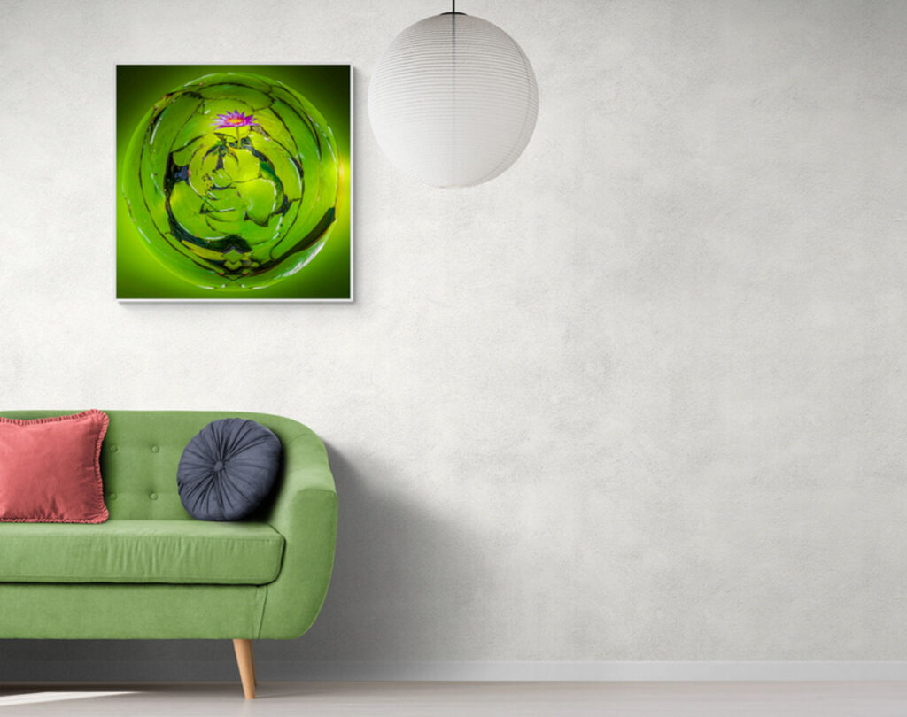 Water Lily of Light – artwork in context