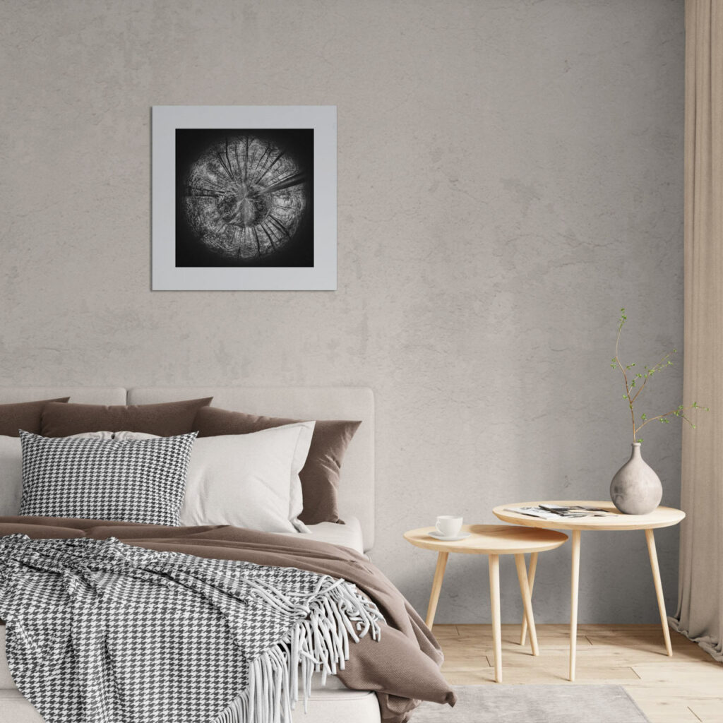 Roots of Time – artwork in context