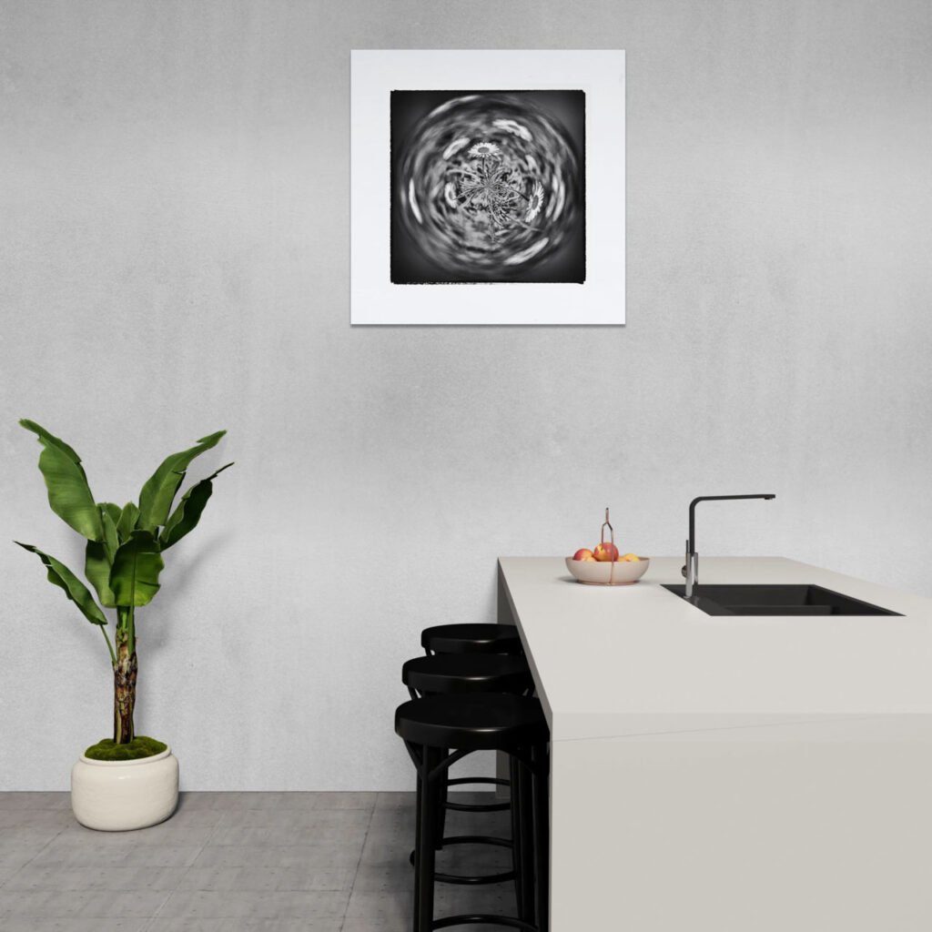 Whisper of a Daisy – artwork in context