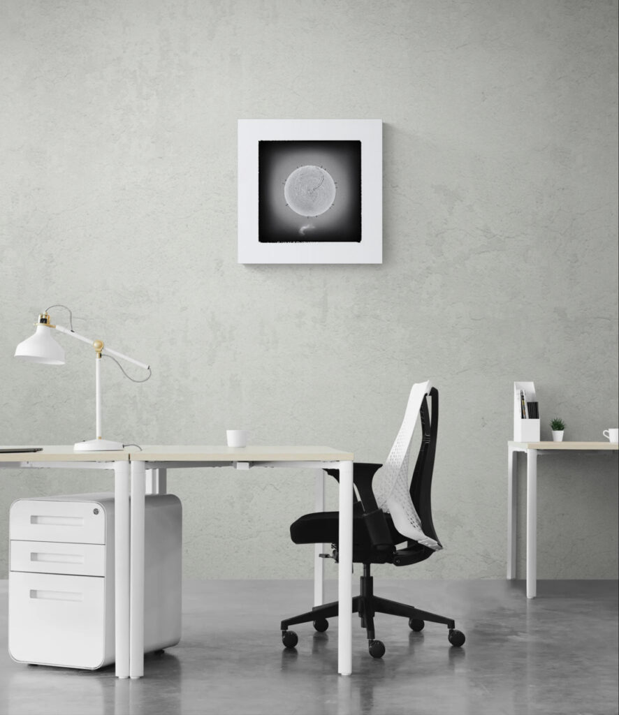 White Traces – artwork in context
