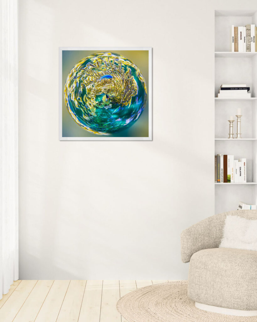 Coral Vortex – artwork in context