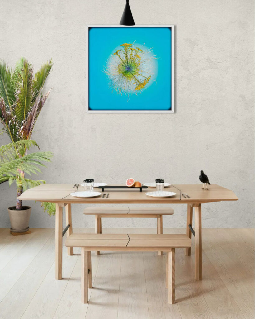 Pollen Light – artwork in context