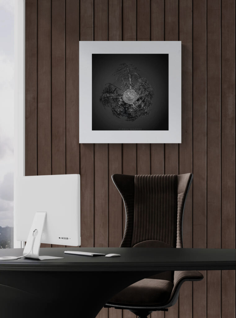 Barks of Eternity – artwork in context