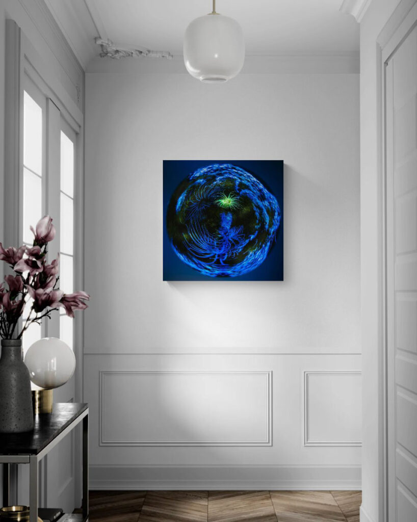 Celestial Anemone – artwork in context