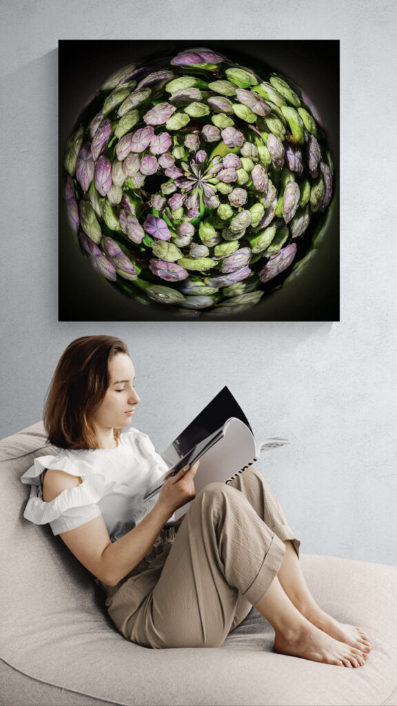 The Heart of the Hydrangeas – artwork in context