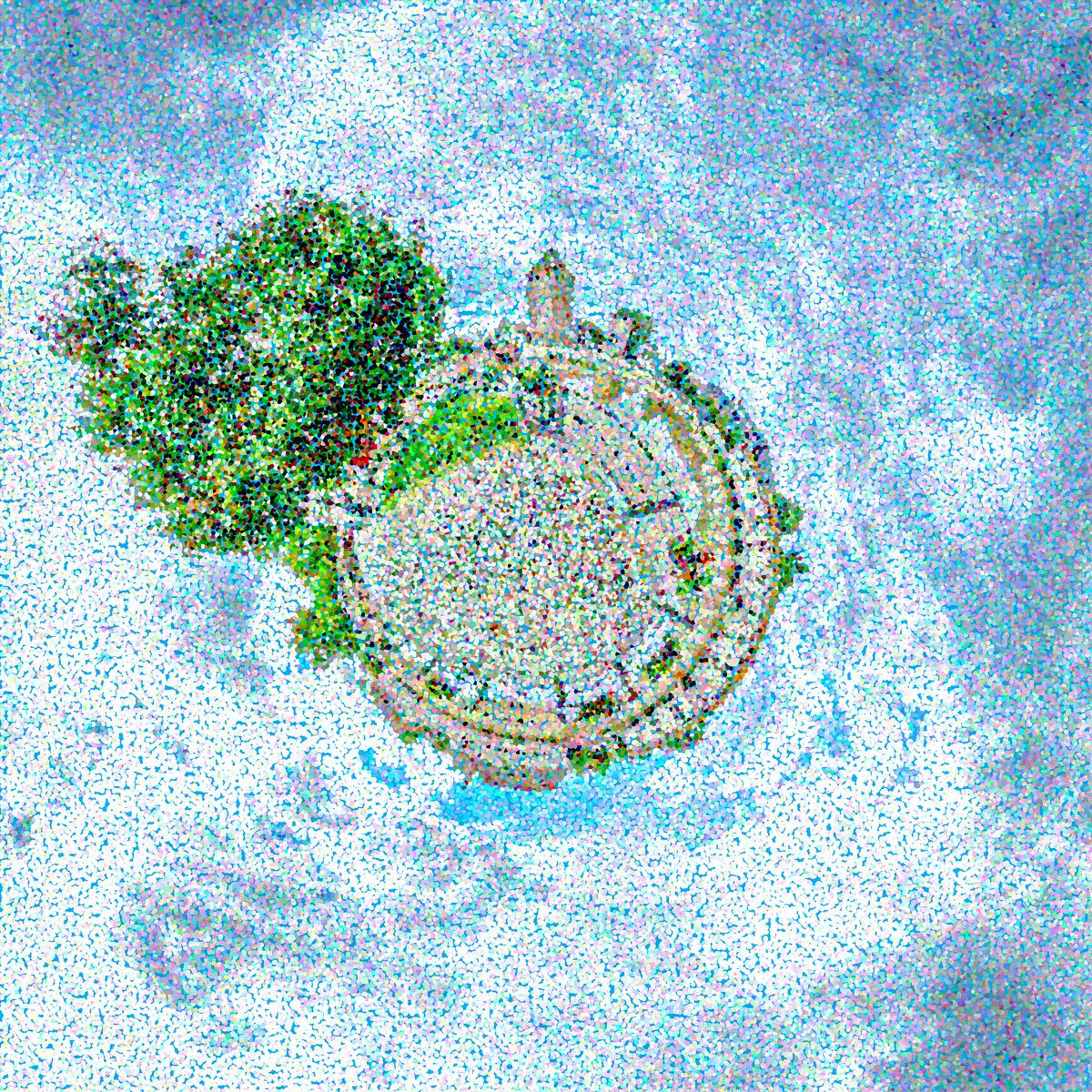 An aerial view of a circular village with a flat centre, bordered by a dense wood, set against a white, snow-covered expanse, rendered in colourful pointillism.