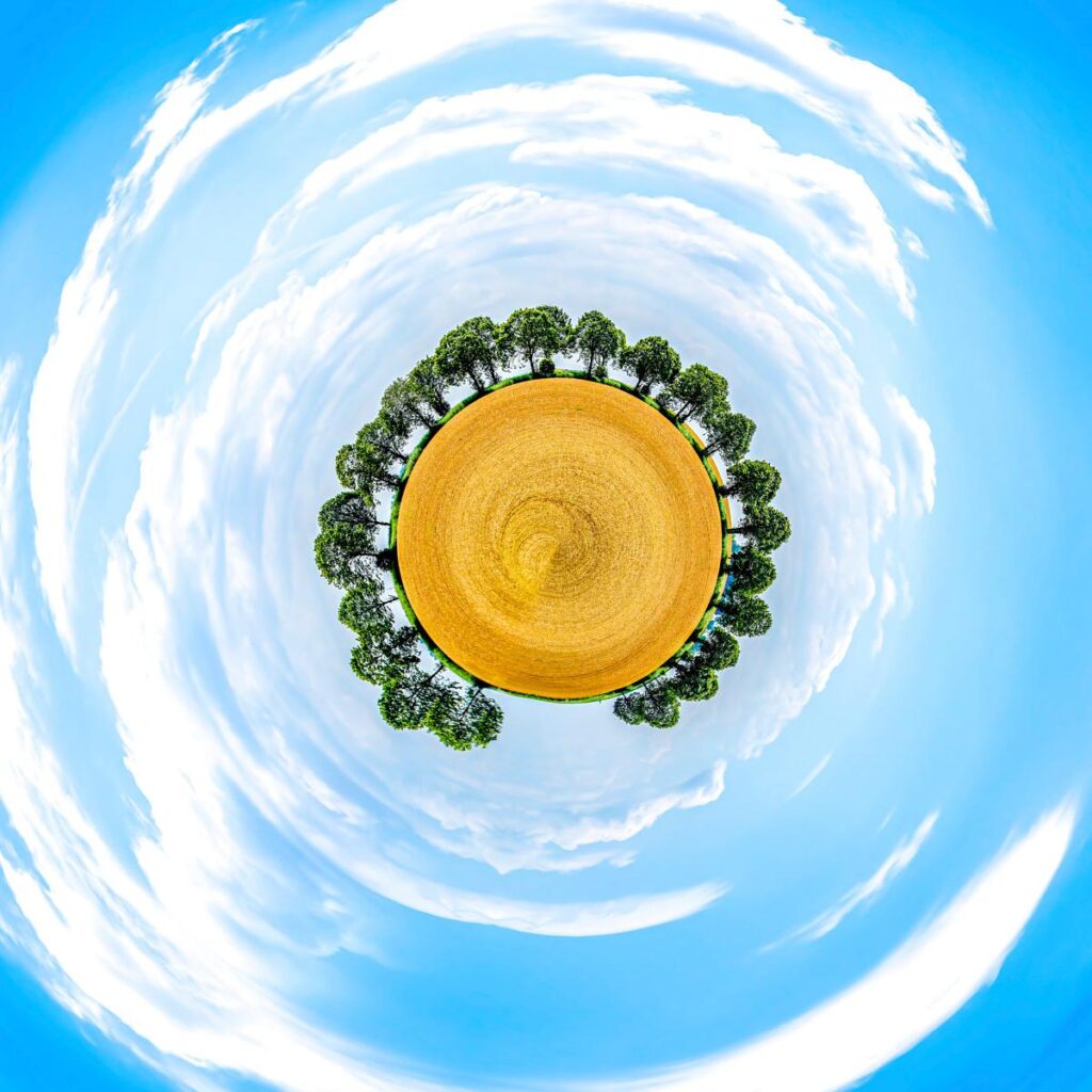 A circular field of golden wheat bordered by a row of green pine trees, surrounded by a blue sky with swirling clouds.
