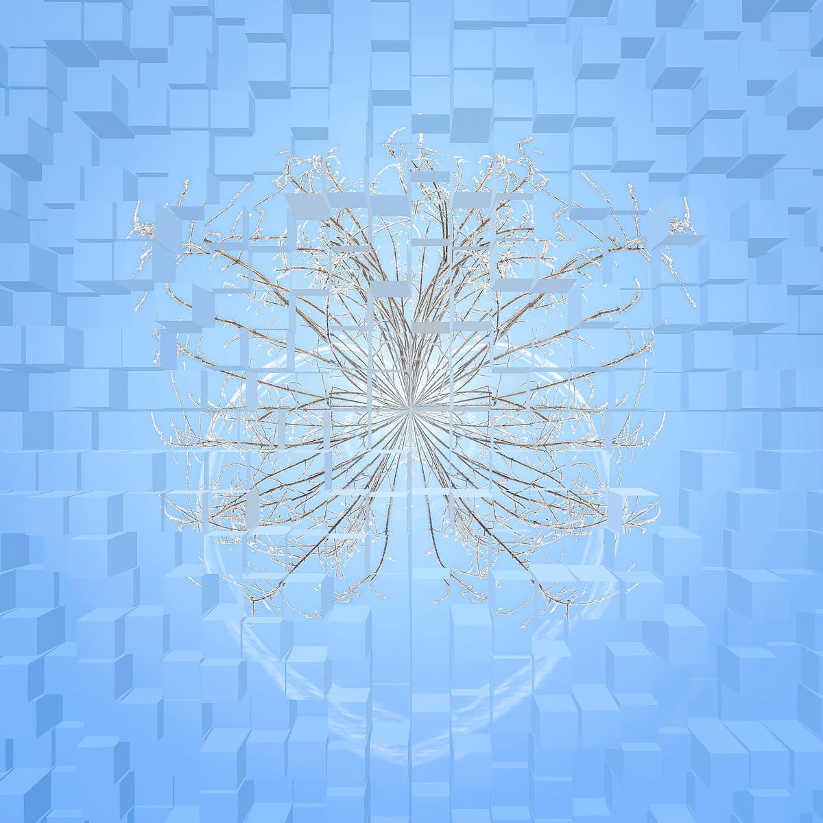 Branches minces disposées en une explosion radiale dorée devant un arrière-plan bleu clair de cubes en relief.