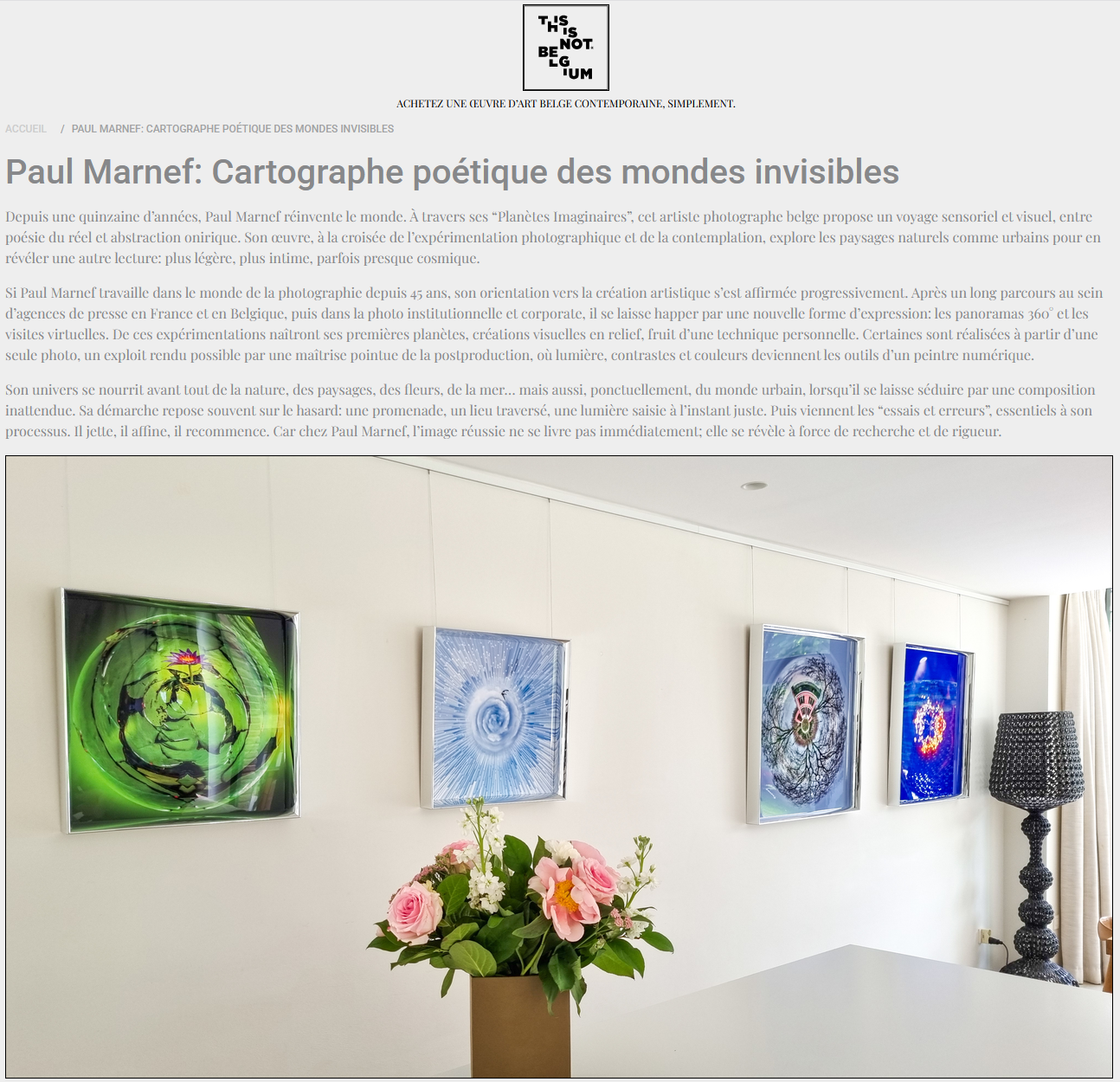 Screenshot of Paul Marnef’s portrait published by This Is Not Belgium