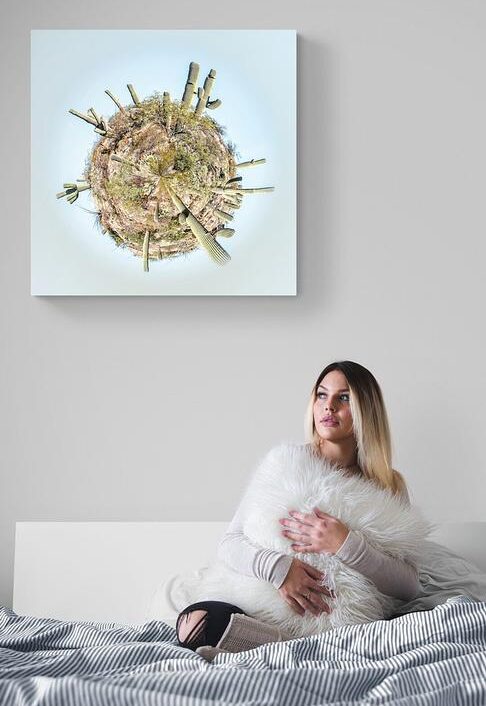 Display simulation: ‘Arid World’ by Paul Marnef, a mini cactus planet displayed in a room with light-coloured tones